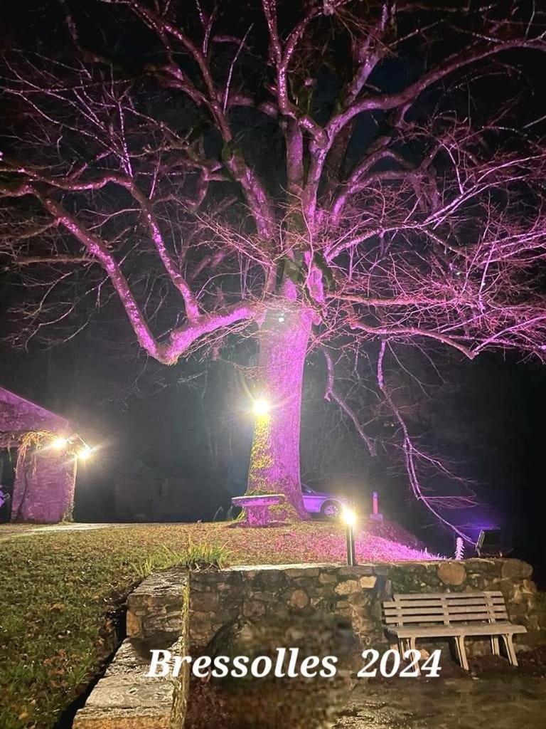 Le Tilleul De Bressolles Brassac  Bagian luar foto